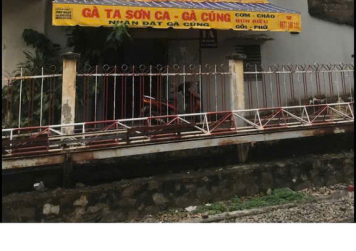 Xu Hướng Chọn Gà Cúng Đẹp Tại TP.HCM Năm 2026