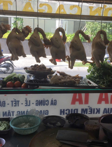 Gà Ta Sơn Ca Gà Cúng – Địa Chỉ Gà Ta Ngon Chuẩn Vị Tại Phú Nhuận